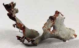 Metal shrapnel fragment