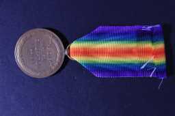 Victory Medal (1914-18) - LT.COL. H.B. DES V. WILKINSON.