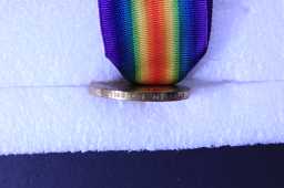 Victory Medal (1914-18) - 27216 PTE. T.W. SWALES. DURH.L