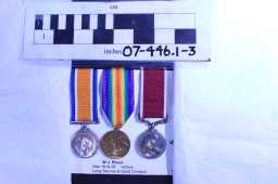 Victory Medal (1914-18) - 11373 PTE. W. J. BRUCE.