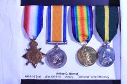 British War Medal (1914-20) - 6-306 SJT. A. G. BURNIP.