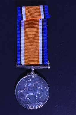 British War Medal (1914-20) - 24292 W.O.CL.1 S.F. FRICKER. 