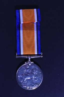British War Medal (1914-20) - 6866 PTE. F. GARDNER. DURH.L.I