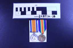 British War Medal (1914-20) - 2530 PTE J A CAPP D.L.I.