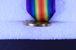 Victory Medal (1914-18) - 2543 SJT. L.A. BITTLESTONE. DU