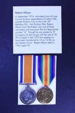 British War Medal (1914-20) - 6 PTE. R. ALLISON. DURH.L.I.