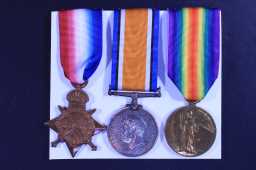 Victory Medal (1914-18) - 13971 PTE. E. HERBERTSON. DURH