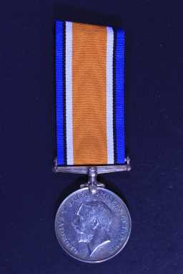 British War Medal (1914-20) - 2.LIEUT. D.E. ROBINSON.