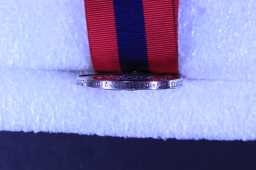 Distinguished Conduct Medal - 300173 SJT: R. CASTLING. 2nd D