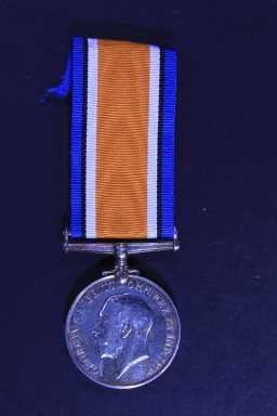 British War Medal (1914-20) - 2088 SJT. R. CASTLING. D.L.I