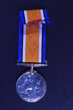 British War Medal (1914-20) - 2088 SJT. R. CASTLING. D.L.I