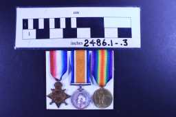 British War Medal (1914-20) - 13526 PTE. W.A. WILSON. D.LI