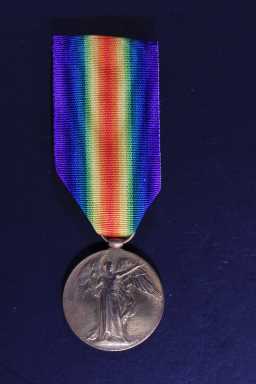 Victory Medal (1914-18) - 3842 PTE. G. BROWN. DURH.L.I.