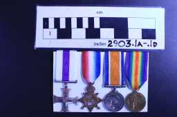 British War Medal (1914-20) - CAPT. F.LL.F. REES.