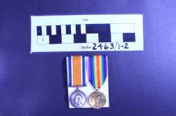 British War Medal (1914-20) - 21197 PTE. W. TAYLOR. D.L.I