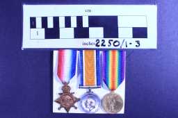 Victory Medal (1914-18) - 10963 SJT. I. PLEWS. D.L.I.