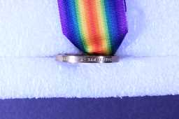 Victory Medal (1914-18) - 14823 PTE. T. WAISTELL. DURH: 