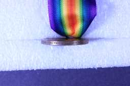 Victory Medal (1914-18) - 15405 PTE. J.T. COLLINS. DURH.