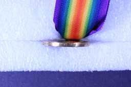 Victory Medal (1914-18) - 15084 A.W.O.CL.1. P. MCEVOY. D