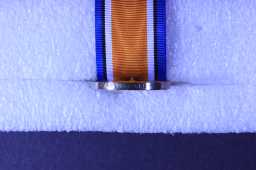 British War Medal (1914-20) - CAPT J. WILSON.