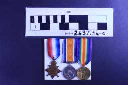 British War Medal (1914-20) - 20395 PTE. W. HARRINGTON. DLI