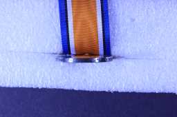 British War Medal (1914-20) - 20395 PTE. W. HARRINGTON. DLI