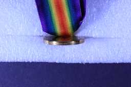 Victory Medal (1914-18) - 20395 PTE. W. HARRINGTON. DLI
