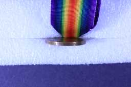 Victory Medal (1914-18) - 38881 CPL. S. TAYLOR. DURH.L.I