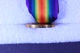 Victory Medal (1914-18) - 22-407 PTE. W. GLENDINNING. DU