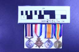 Victory Medal (1914-18) - 18-1215 A-SGT. E.C. BELL. DLI