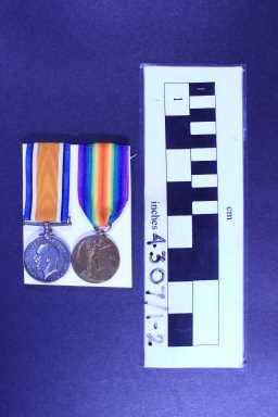 British War Medal (1914-20) - 5155 PTE. E.W. GURR. DURH.L.I.