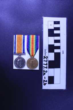 Victory Medal (1914-18) - 81414 PTE. E. DUNN. DURH.L.I.