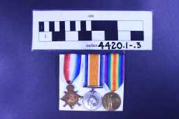 Victory Medal (1914-18) - 3922 PTE. J.W. PEACOCK. DURH.L