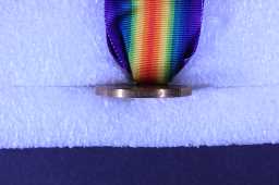 Victory Medal (1914-18) - 2612 PTE. J.W. HOLLAND. D.L.I