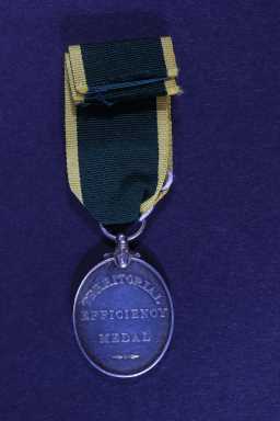 Territorial Efficiency Medal - 7782395 SJT. J.W. HOLLAND. R.A