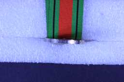 Defence Medal (1939-45) - LT.COL. R. HORAN