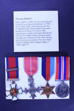 Victory Medal (1914-18) - 3026 SGT J. GREENWOOD. DURH.L.