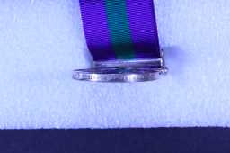 General Service Medal (1918-62) - 23551998 PTE. E. FORSTER. D.L.