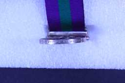 General Service Medal (1918-62) - 23299323 PTE. P. BURNS. D.L.I.