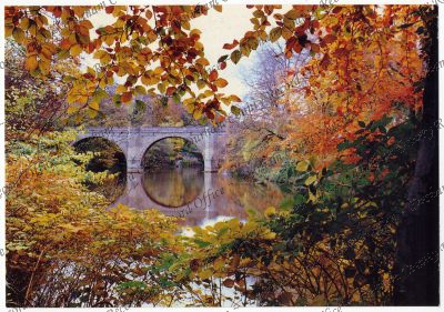 ref: D/CL 27/277/408