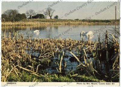 ref: D/CL 27/277/928