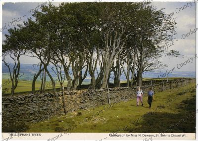 ref: D/CL 27/277/943