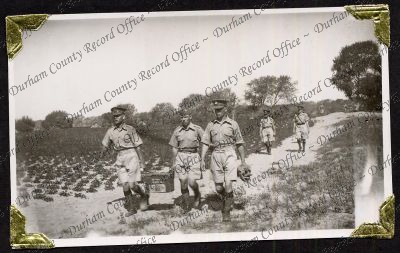 ref: D/DLI 7/22/3(14)