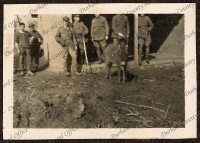 ref: D/DLI 7/46/13(46)