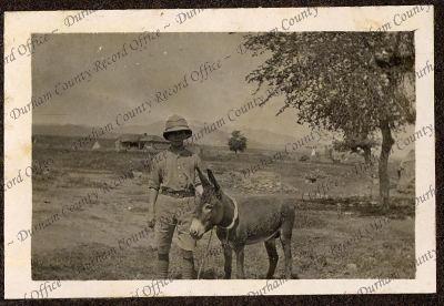 ref: D/DLI 7/46/13(54)