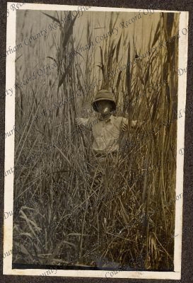 ref: D/DLI 7/46/13(124)