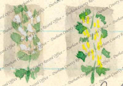 ref: D/DLI 7/63/2(46)