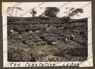 ref: D/DLI 7/71/5(3)