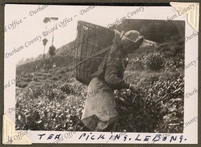 ref: D/DLI 7/71/5(4)