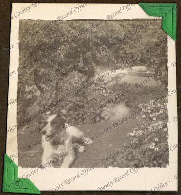 ref: D/DLI 7/71/5(34)